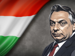 Illustration of Hungarian Prime Minister Viktor Orbán on backdrop of Hungarian flag.